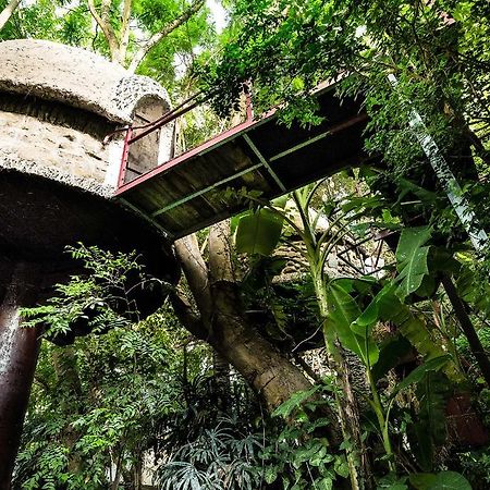 Dao Anh Khanh Tree House 河内 外观 照片