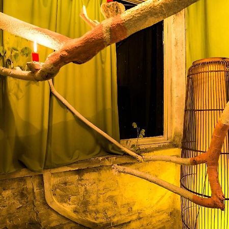 Dao Anh Khanh Tree House 河内 外观 照片