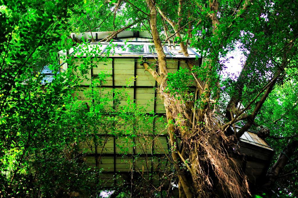 Dao Anh Khanh Tree House 河内 客房 照片