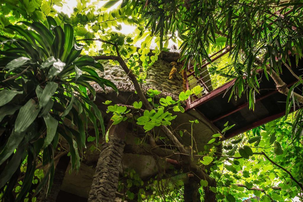 Dao Anh Khanh Tree House 河内 外观 照片