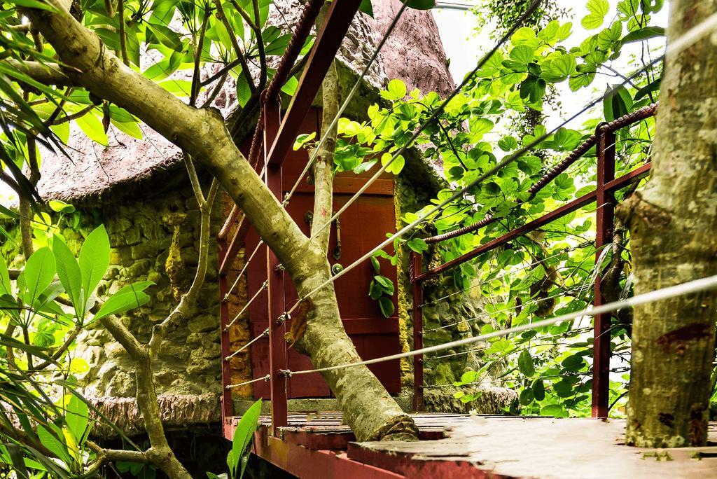 Dao Anh Khanh Tree House 河内 外观 照片