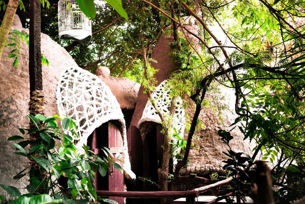 Dao Anh Khanh Tree House 河内 外观 照片