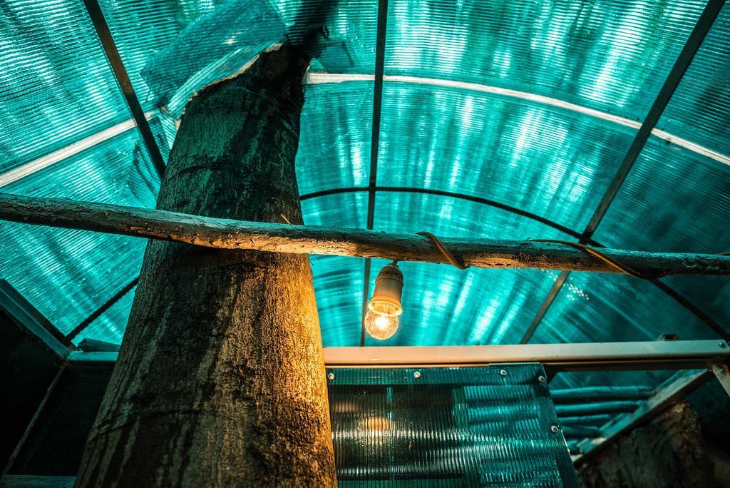 Dao Anh Khanh Tree House 河内 外观 照片
