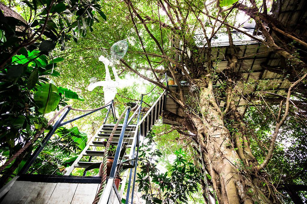 Dao Anh Khanh Tree House 河内 外观 照片