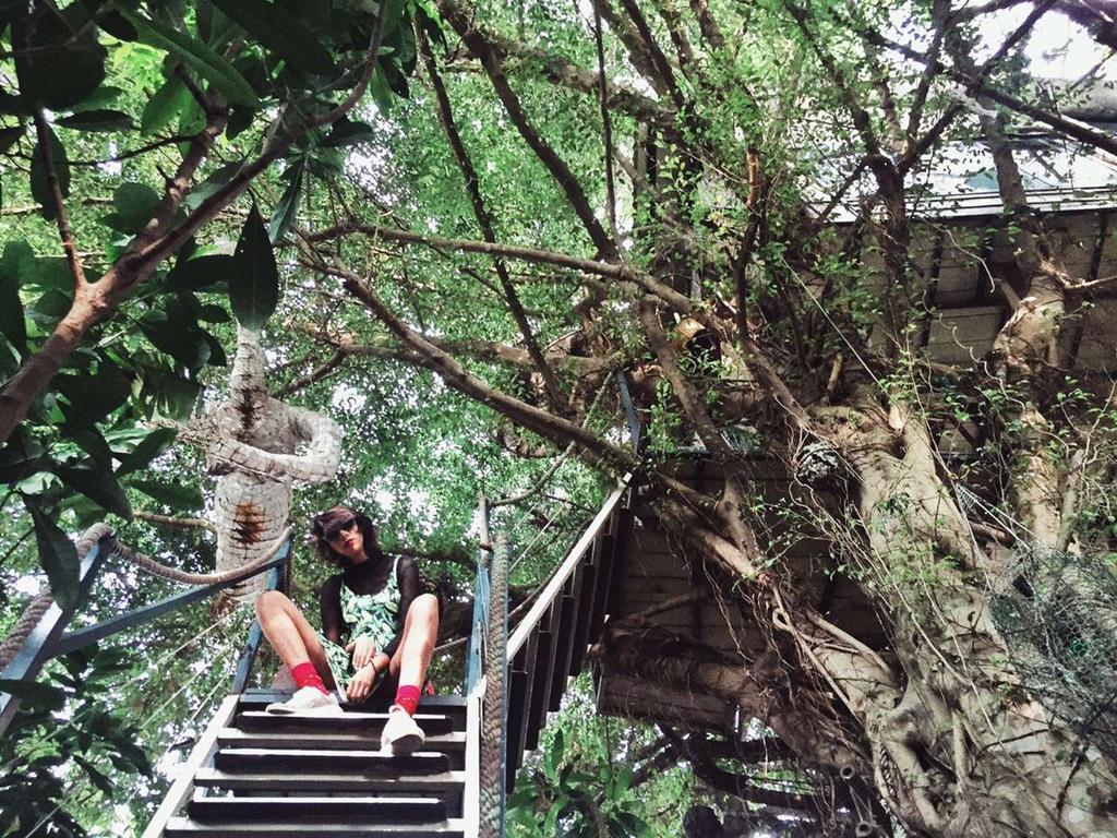 Dao Anh Khanh Tree House 河内 外观 照片