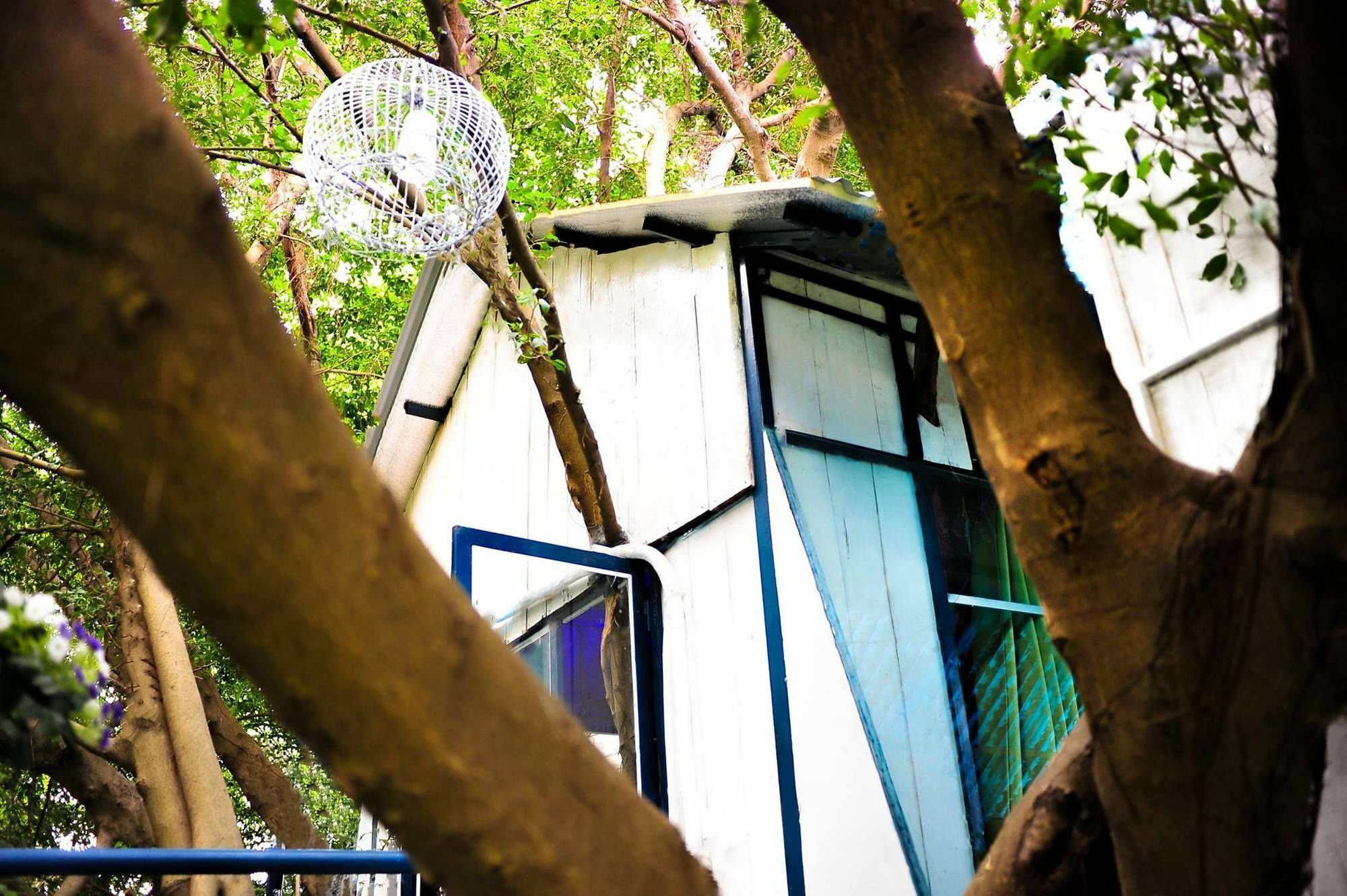 Dao Anh Khanh Tree House 河内 外观 照片