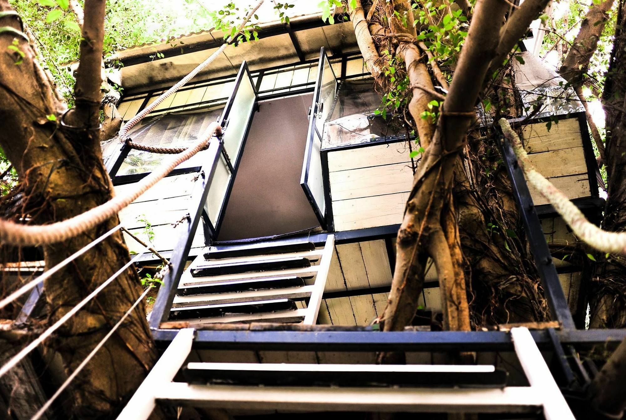 Dao Anh Khanh Tree House 河内 外观 照片